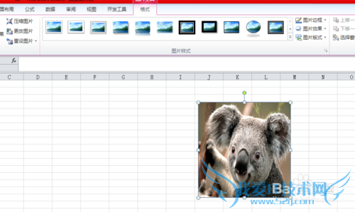 excel中图片调整的众多技巧