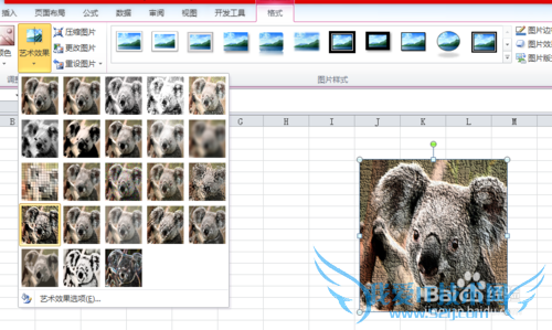 excel中图片调整的众多技巧