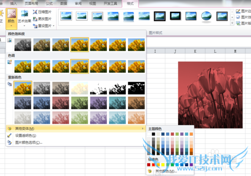 excel中图片调整的众多技巧