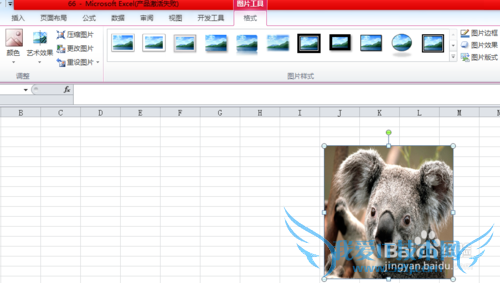 excel中图片调整的众多技巧