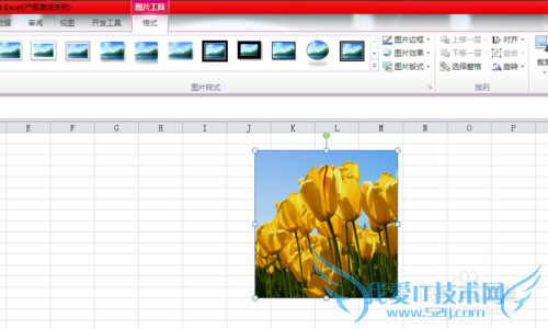 excel中图片调整的众多技巧