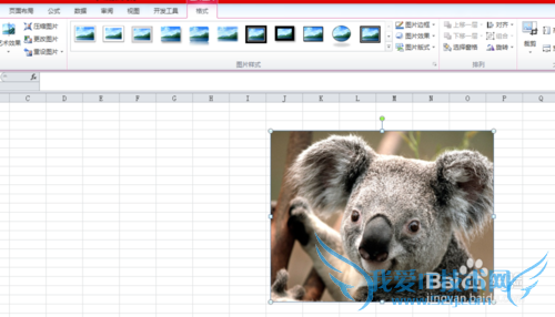 excel中图片调整的众多技巧