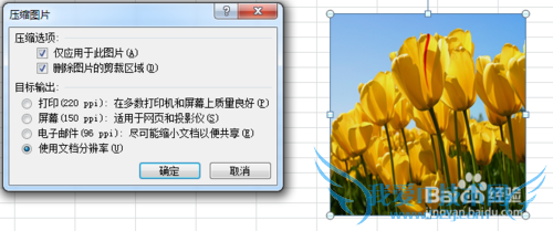 excel中图片调整的众多技巧