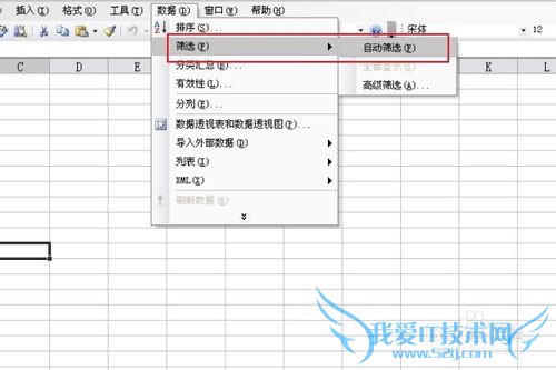 EXCELʵý̳̣[2]EXCELԶɸѡ