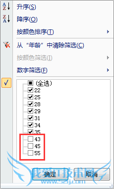 Excel2007ʾȫɸѡ