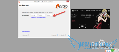 Nitro PDF Pro 9ͼļƽⰲװ̳