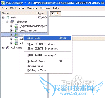 PC˲鿴iPhoneűͼĽ˵