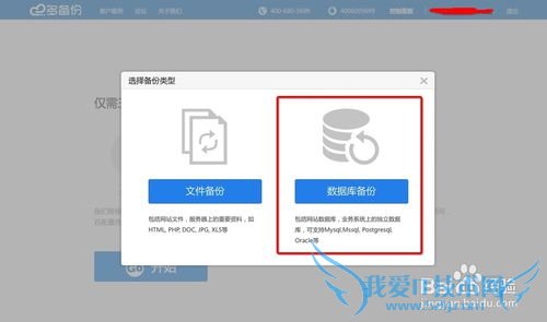 网站数据库怎么备份