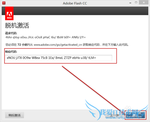Adobe Flash Professional CCװ뼤
