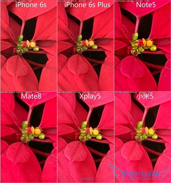 С5/Mate8/Xplay5/Note5/iPhone 6sնԱ