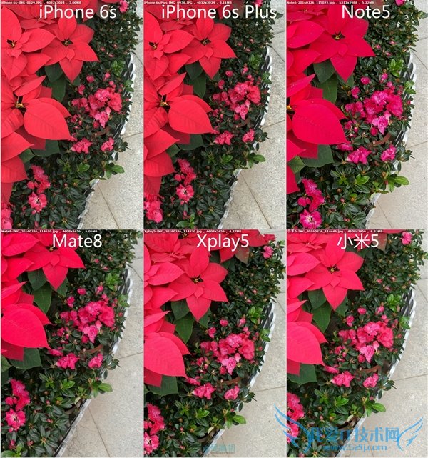 С5/Mate8/Xplay5/Note5/iPhone 6sնԱ