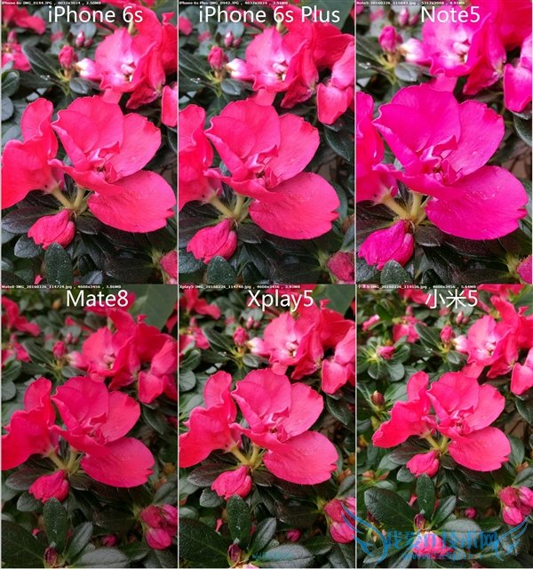 С5/Mate8/Xplay5/Note5/iPhone 6sնԱ