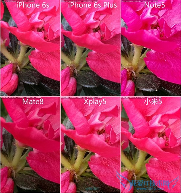 С5/Mate8/Xplay5/Note5/iPhone 6sնԱ