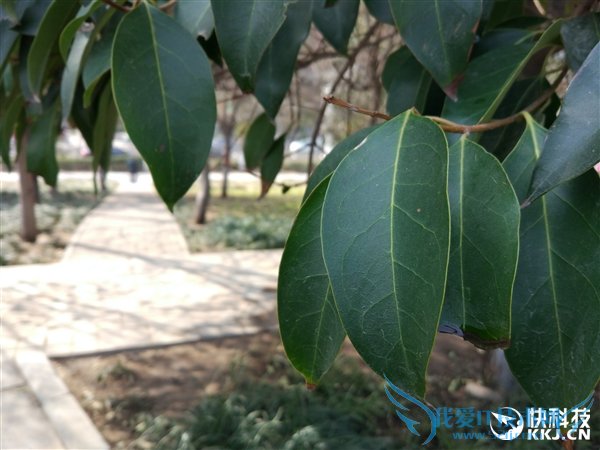 С5Mate8˭ã Աһ¾֪