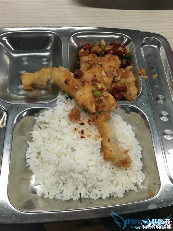 ϴѧʳ²ˡֻըţܡͬѧŻ