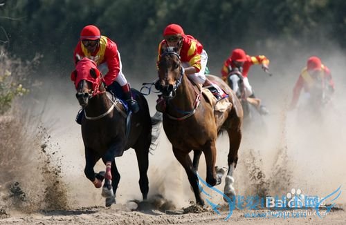 4g和wifi用哪一个?