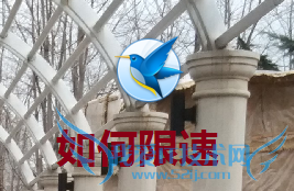 办公室秘籍如何为讯雷下载设置限速?办公室秘籍