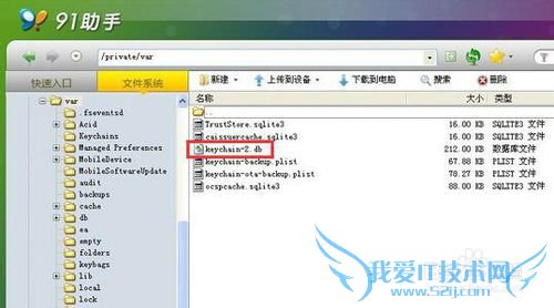 为什么iPhone连接WiFi总显示密码错误?