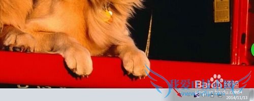 如何开启电脑wifi