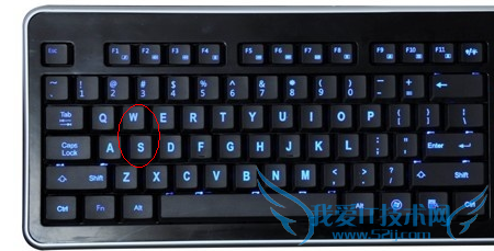 ´©Ô½»ðÏß¡¢»¬²½½Ìѧ