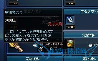 DNF宠物更换名字