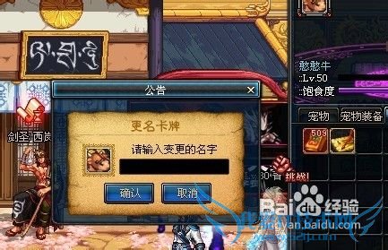 DNF宠物更换名字