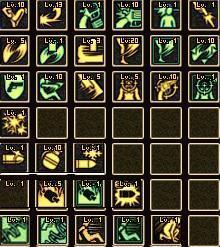 DNF体术漫游怎样加点?