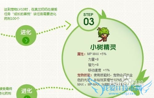 dnf宠物怎么升级