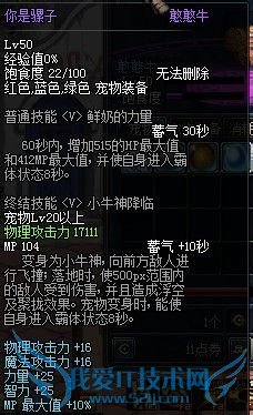 dnf宠物怎么升级