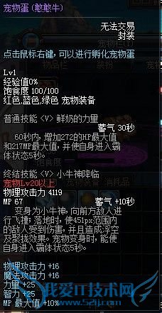 dnf宠物怎么升级