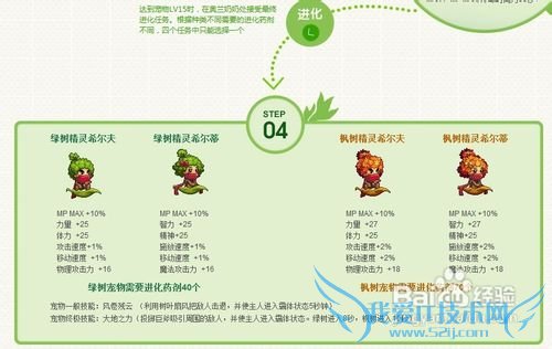 dnf宠物怎么升级