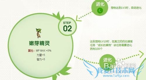 dnf宠物怎么升级