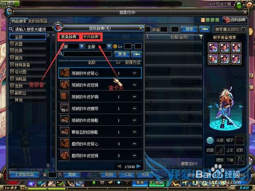 DNF 查找经验和装备