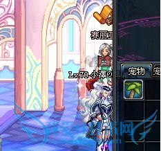 dnf宠物怎么拿下来