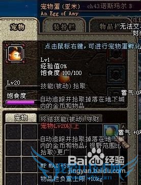 dnf宠物属性攻略