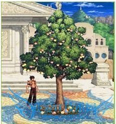 dnf黄金树叶技巧