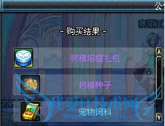 dnf树精种子怎么升级