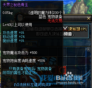 DNF紫色宠物装备