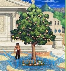 dnf怎么收集黄金树叶