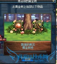 dnf怎么收集黄金树叶