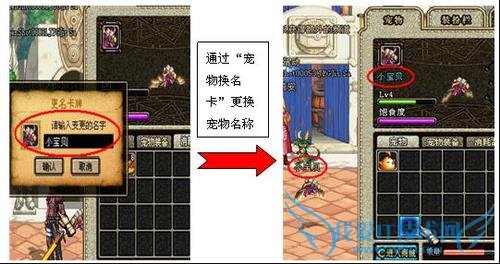 地下城与勇士中如何获得宠物