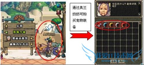 地下城与勇士中如何获得宠物