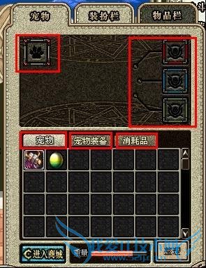 地下城与勇士中如何获得宠物