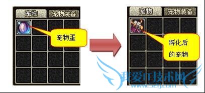 地下城与勇士中如何获得宠物