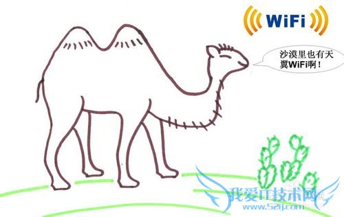 ÄÄÀïÓÐÃâ·ÑWifi»òÕßÍøÂç¿ÉÒÔÓÃÄØ£¿