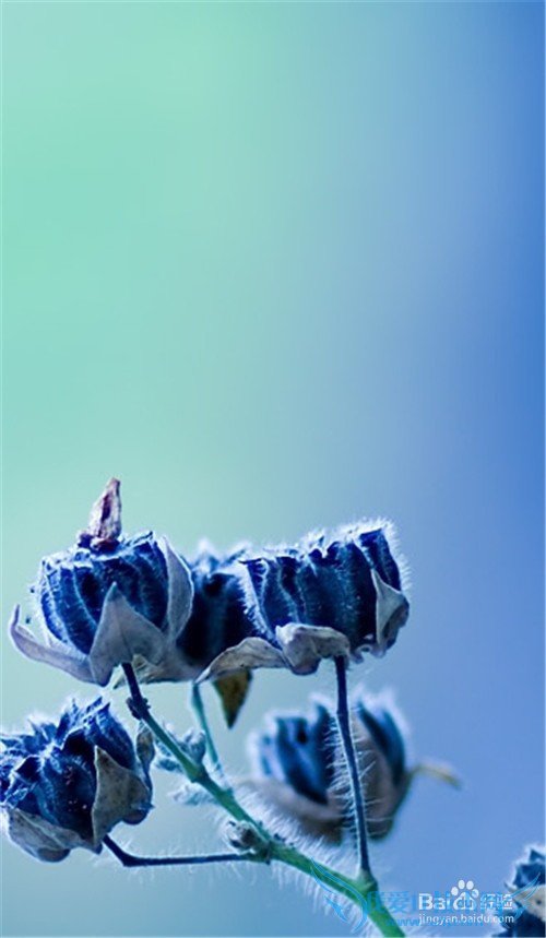 ÖÇÄÜÊÖ»úÈçºÎÁ¬½ÓµçÄÔ