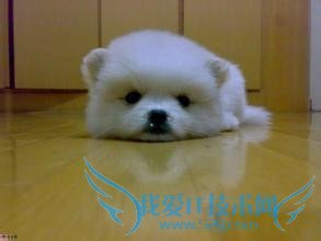 如何保持手机锁屏时的wifi连接