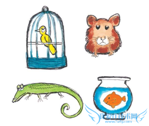 不会英语,也可以给孩子讲英文绘本故事