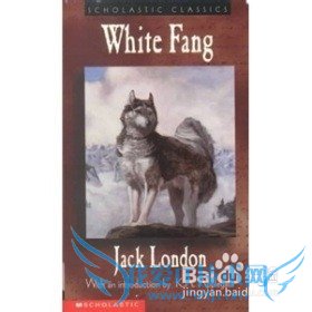 如何利用网上资源提高英语听说读写的能力