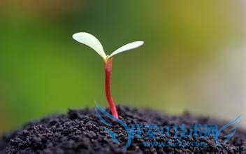 Ӣﵥμ䡶ѧϰӢĵһ顷